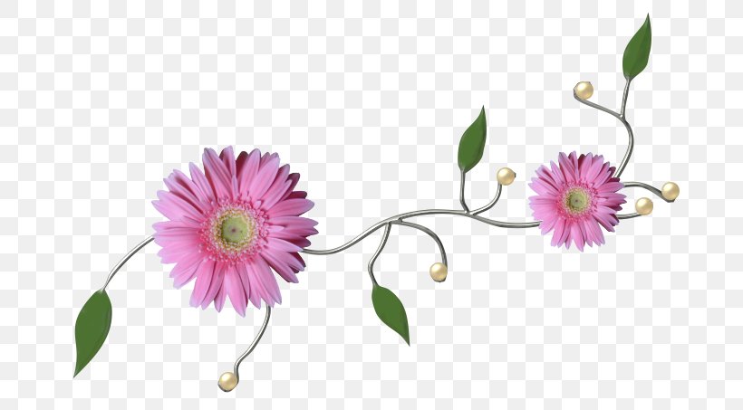 Floral Design Flower Love, PNG, 800x453px, Floral Design, Branch, Chrysanths, Color, Cut Flowers Download Free