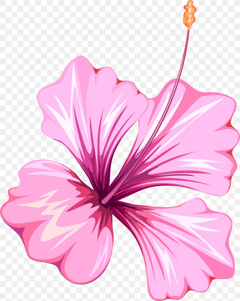 Flower Mallows Clip Art, PNG, 3276x4106px, Flower, Flower Bouquet, Flowering Plant, Garden Roses, Herbaceous Plant Download Free