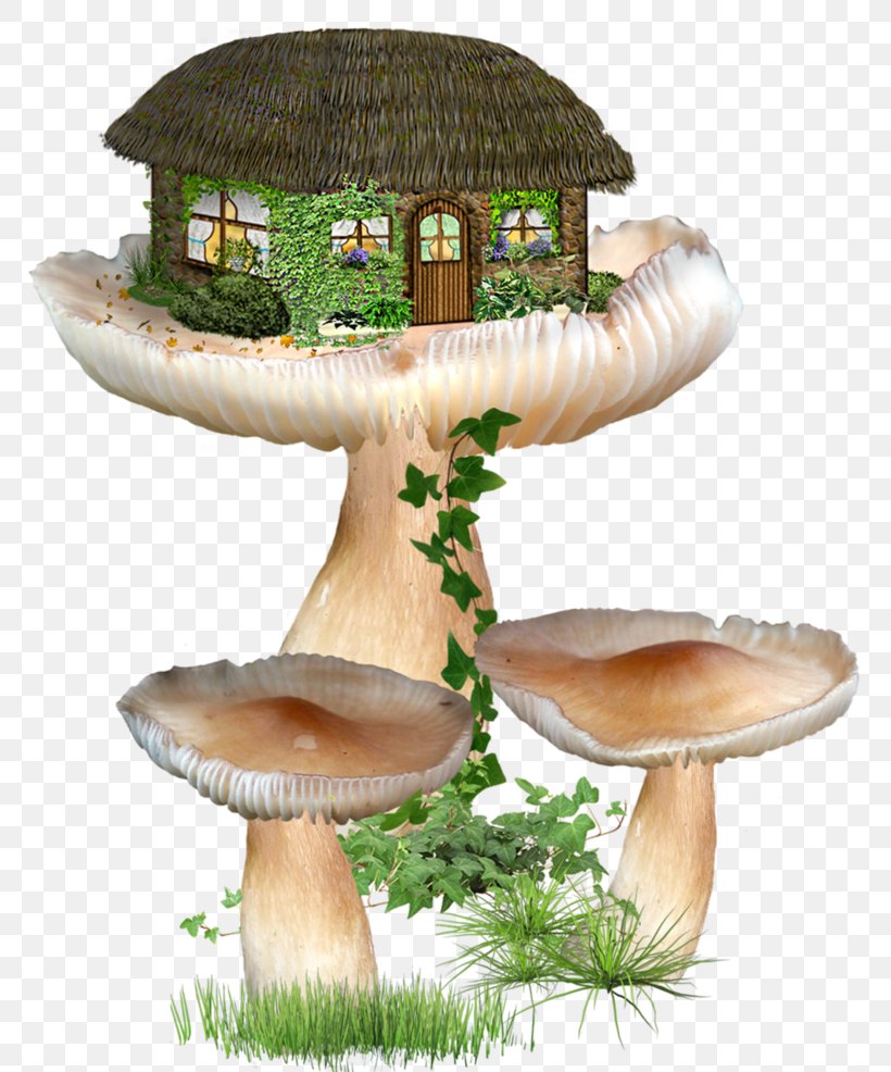 Fairy House Image Clip Art, PNG, 810x986px, Fairy, Edible Mushroom, Elf, Fairy Tale, Fantasy Download Free