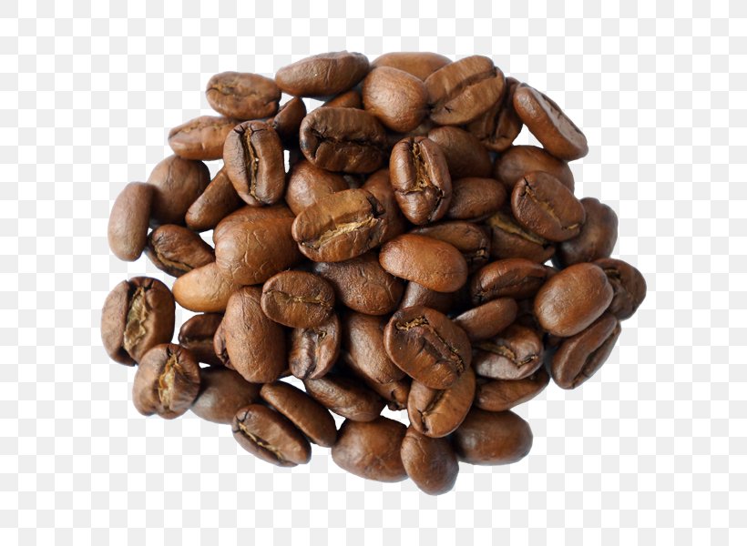 Coffee Cafe Tea Cappuccino Sidamo Province, PNG, 600x600px, Coffee, Arabica Coffee, Bean, Cafe, Cappuccino Download Free