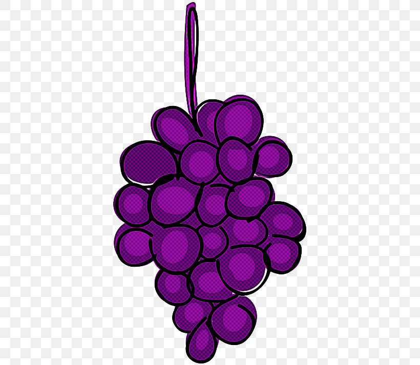 Grape Violet Purple Grapevine Family Vitis, PNG, 384x713px, Grape, Circle, Grapevine Family, Magenta, Plant Download Free