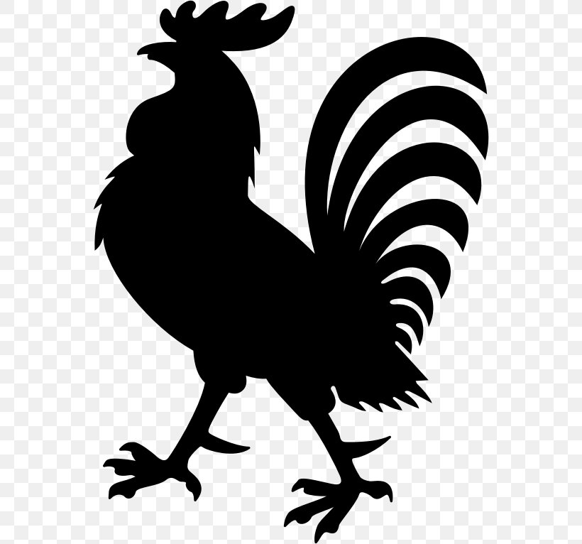 Rooster Silhouette Clip Art, PNG, 558x766px, Rooster, Beak, Bird, Black And White, Chicken Download Free