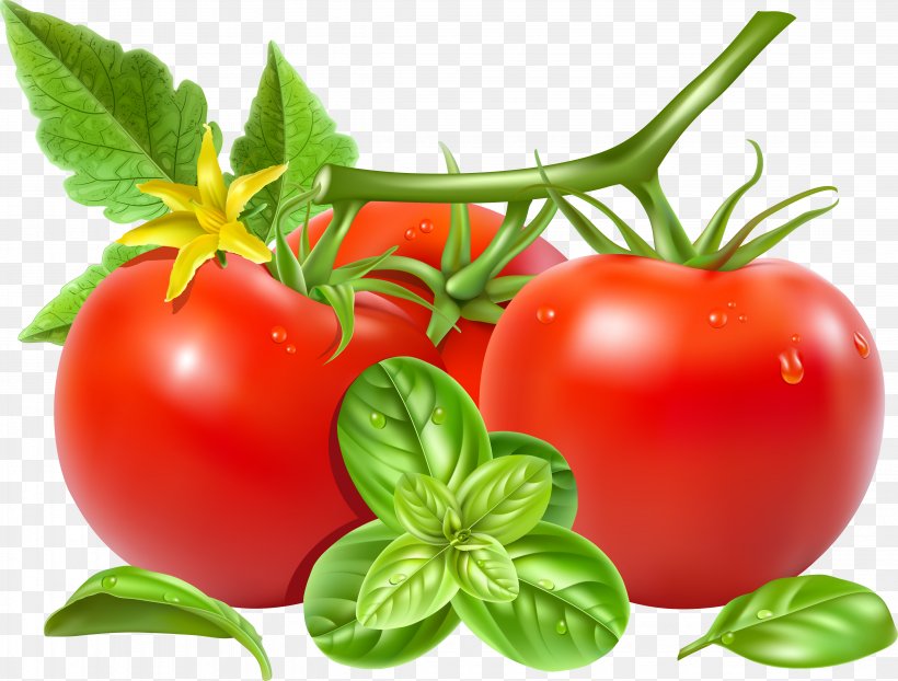 San Marzano Tomato Royalty-free Vegetable Clip Art, PNG, 4495x3413px, San Marzano Tomato, Bush Tomato, Diet Food, Drawing, Food Download Free