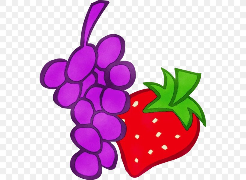 Violet Grape Fruit Clip Art Purple, PNG, 555x600px, Watercolor, Fruit, Grape, Grapevine Family, Magenta Download Free