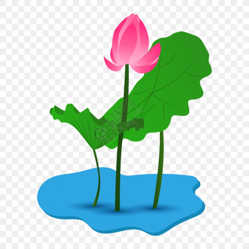 Lily Flower Cartoon, PNG, 1024x1024px, Rose Family, Aquatic Plant, Cyclamen, Flower, Flowerpot Download Free