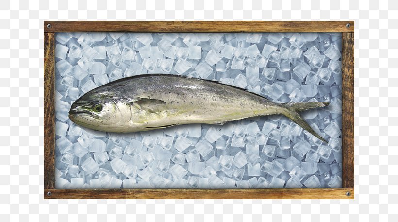 Sardine Pacific Saury Fish Products Oily Fish Anchovy, PNG, 640x457px, Sardine, Anchovy, Animal Source Foods, Capelin, Fauna Download Free