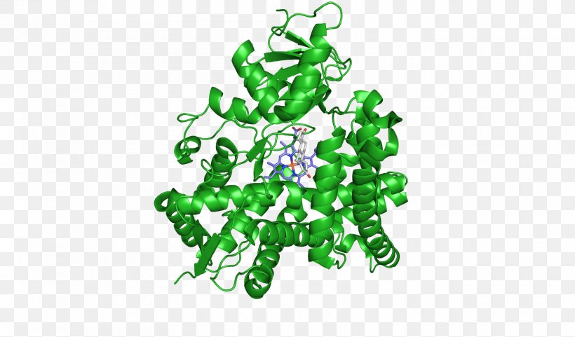 Aromatase Inhibitor Estrogen Androgen Aromatase Excess Syndrome, PNG, 1700x999px, Aromatase, Androgen, Androstenedione, Aromatase Excess Syndrome, Aromatase Inhibitor Download Free