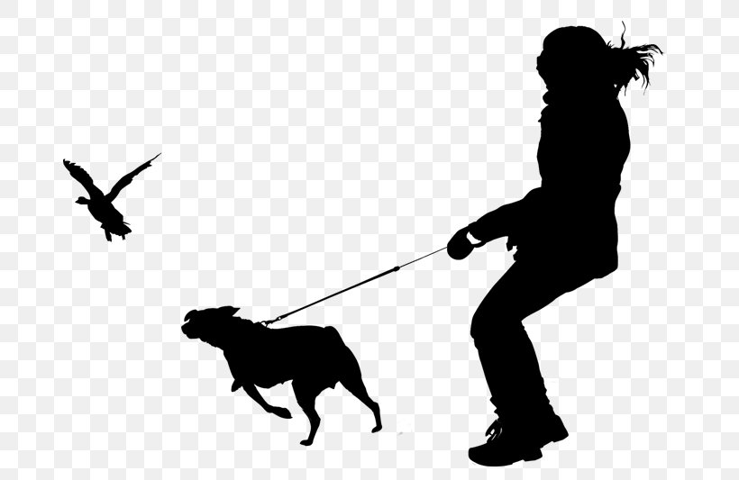 Dog Breed Obedience Training Dog Walking Obedience Trial, PNG, 680x533px, Dog, Behavior, Blackandwhite, Breed, Canidae Download Free