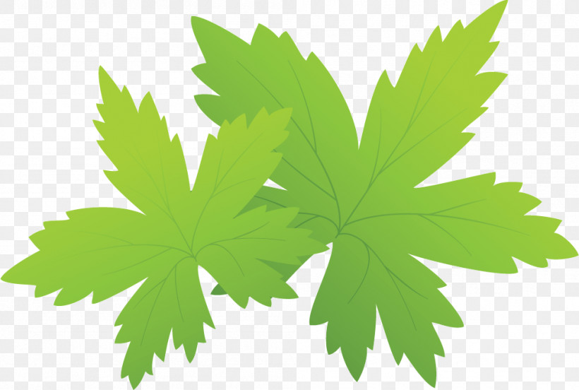 Maple Leaf, PNG, 999x673px, Hong Kong University Of Science And Technology, Academic Conference, Academic Journal, Book Editor, Chemical Engineering Download Free