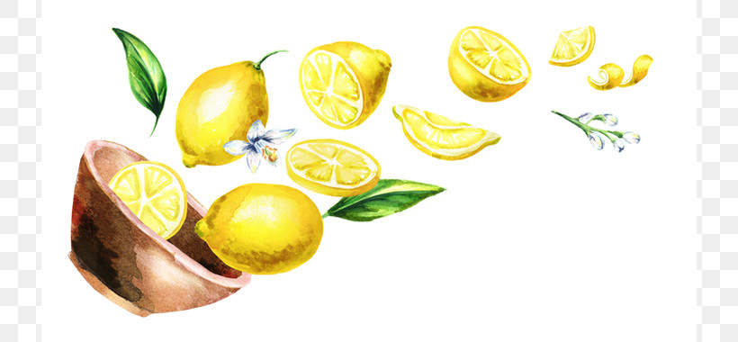 Yellow Lemon Fruit Citrus Natural Foods, PNG, 728x380px, Yellow, Citron, Citrus, Food, Fruit Download Free