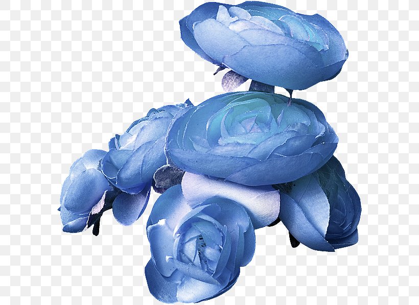 Blue Rose Flower, PNG, 600x597px, Blue, Blue Rose, Color, Flower, Marine Mammal Download Free