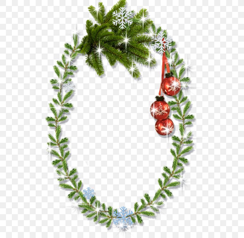 Christmas Ornament Clip Art Christmas Day Picture Frames Image, PNG, 565x800px, Christmas Ornament, Blog, Branch, Christmas, Christmas Day Download Free