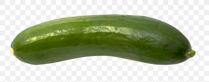 Cucumber Vegetable, PNG, 1553x614px, Cucumber, Auglis, Cucumber Gourd And Melon Family, Cucumis, Food Download Free