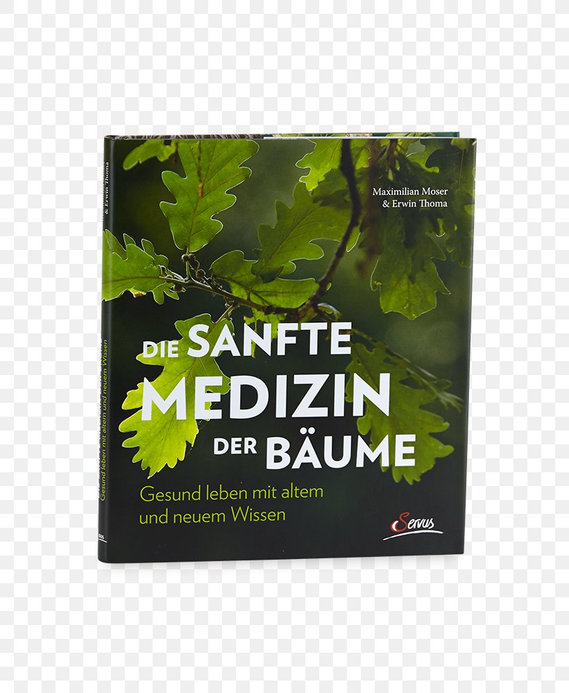 Die Sanfte Medizin Der Bäume The Hidden Life Of Trees: What They Feel, How They Communicate—Discoveries From A Secret World Medicine Vom Richtigen Umgang Mit Der Zeit: Die Heilende Kraft Der Chronobiologie, PNG, 748x998px, Tree, Bark, Book, Brand, European Larch Download Free