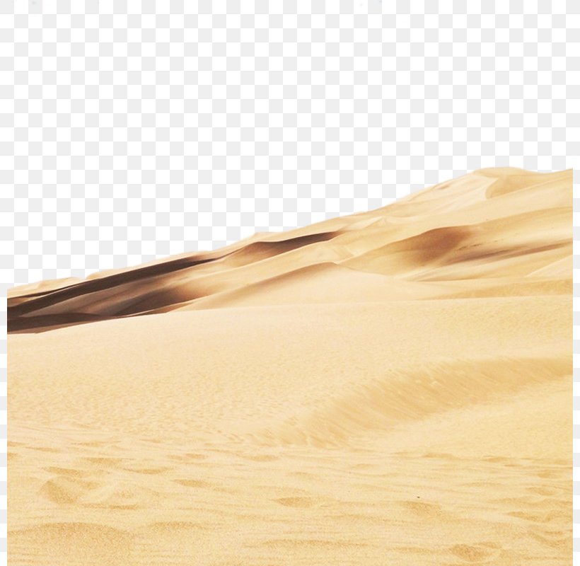 Erg Desert Icon, PNG, 800x800px, Erg, Aeolian Landform, Beige, Desert, Desertification Download Free