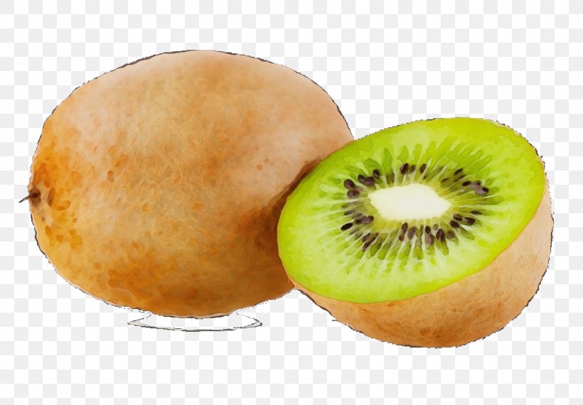 Kiwi, PNG, 1024x713px, Watercolor, Food, Fruit, Kiwi, Kiwifruit Download Free