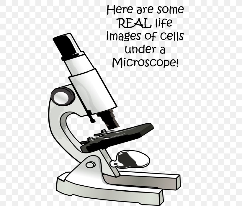 Microscope Laboratory Science Cell Echipament De Laborator, PNG, 496x698px, Microscope, Biology, Black And White, Blood Cell, Cell Download Free