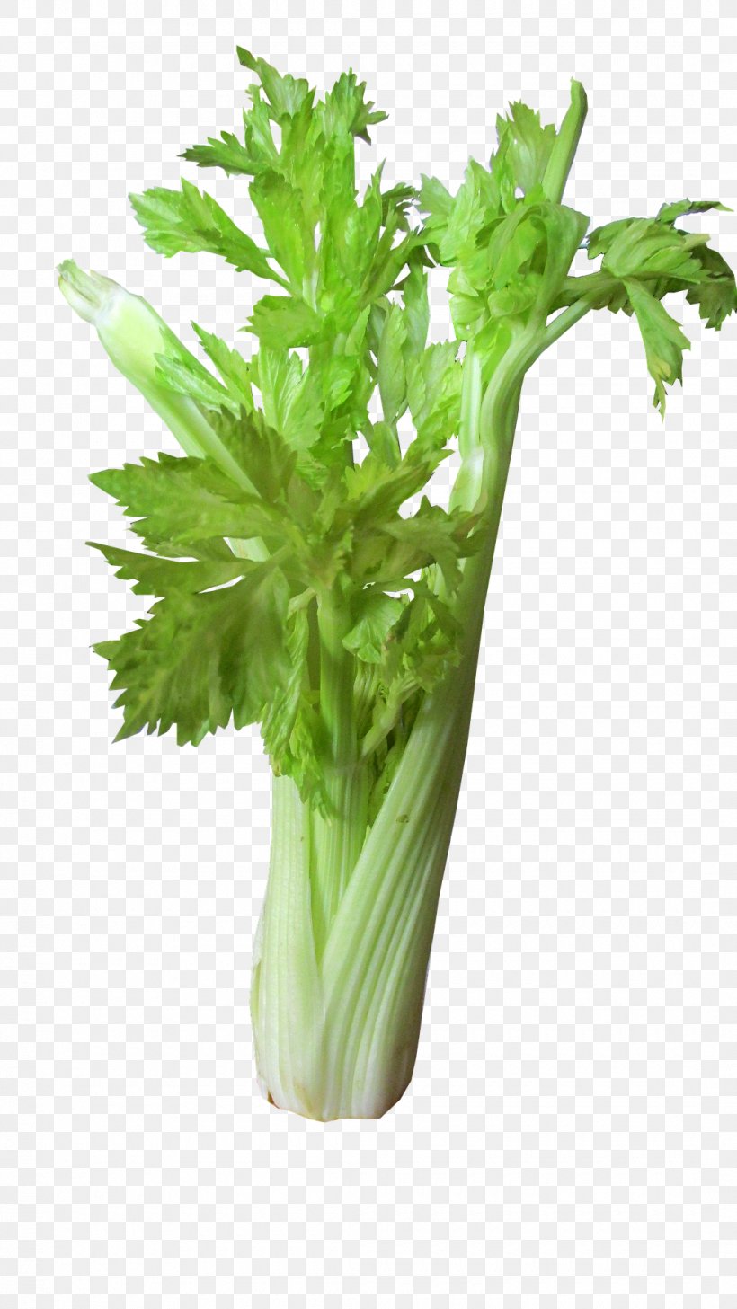 Celery Leaf Vegetable Bloody Mary Juice, PNG, 1080x1920px, Celery, Apiaceae, Bloody Mary, Bok Choy, Broccoli Download Free