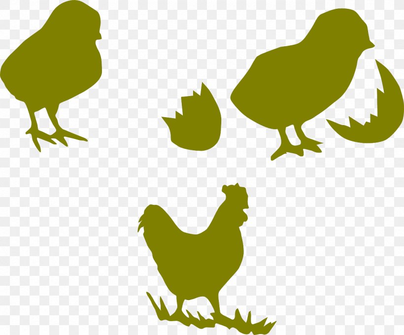 Chicken Rooster Poultry Kifaranga Galliformes, PNG, 1280x1063px, Chicken, Beak, Bird, Branch, Egg Download Free