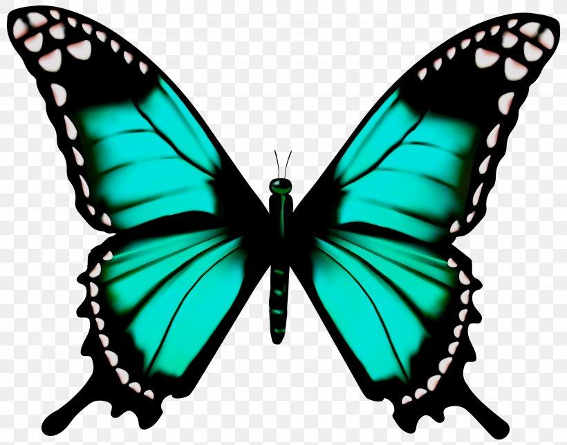 Clip Art Free Content Monarch Butterfly Glasswing Butterfly, PNG, 2999x2358px, Monarch Butterfly, Arthropod, Borboleta, Brushfooted Butterfly, Butterflies Download Free