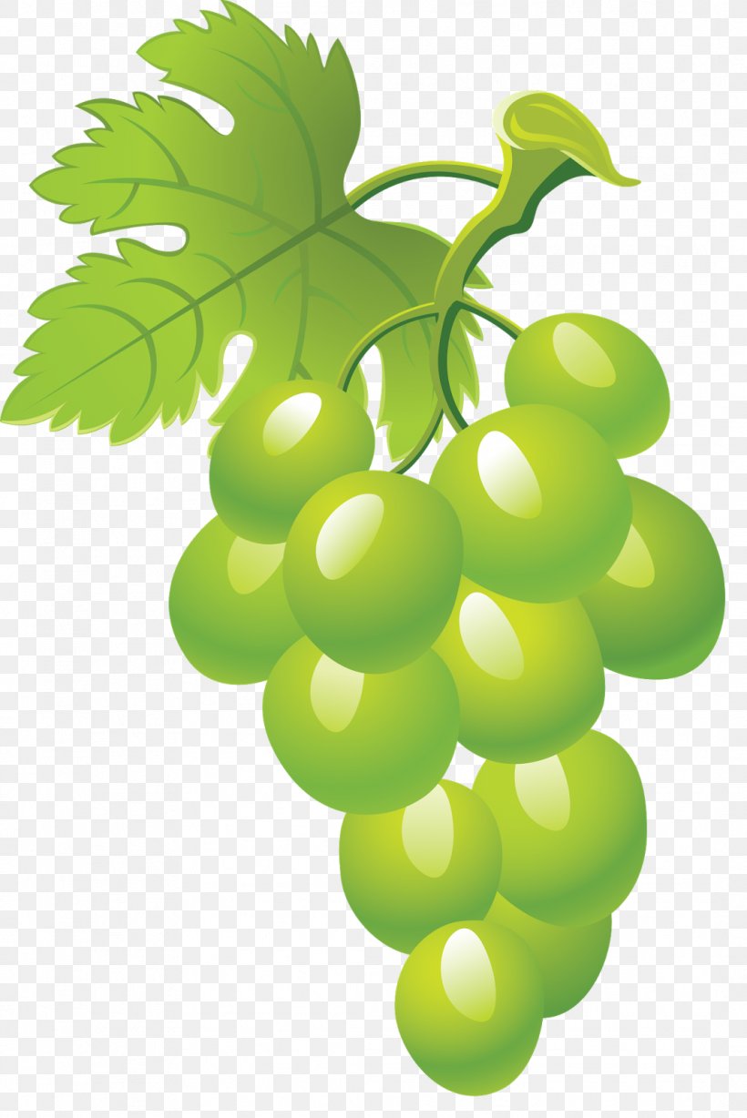 Juice Fruit Grape Clip Art, PNG, 1068x1600px, Juice, Apricot, Berry, Drawing, Flowering Plant Download Free