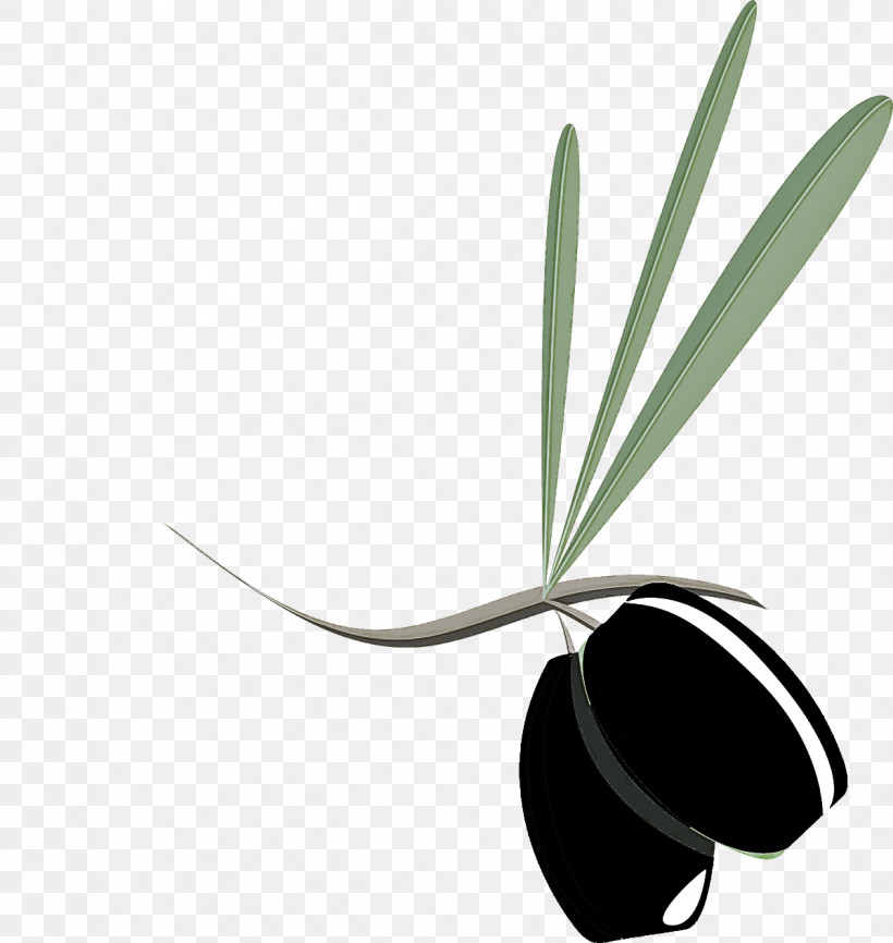 Leaf Plant Flower Olive, PNG, 1199x1267px, Leaf, Flower, Olive, Plant Download Free