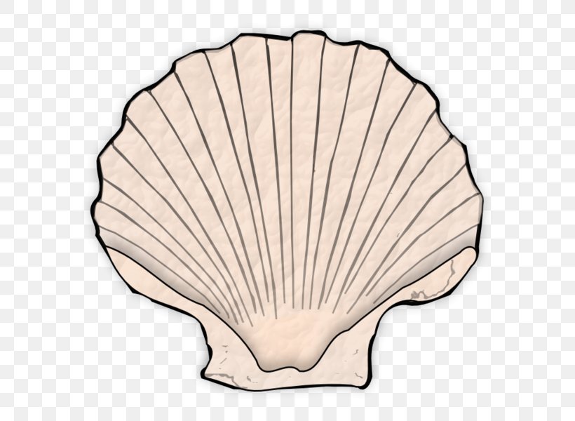 Seashell, PNG, 600x600px, Seashell, Invertebrate Download Free