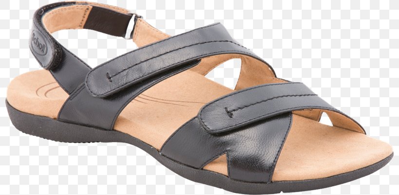 Slipper Sandal Clothing Shoe, PNG, 800x401px, Slipper, Boot, Clog, Clothing, Footwear Download Free