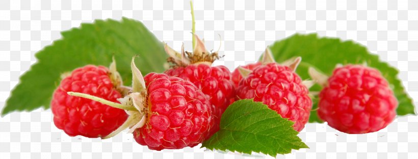 Raspberry Fruit Food Loganberry, PNG, 3116x1191px, Raspberry, Berry, Blackberry, Boysenberry, Food Download Free