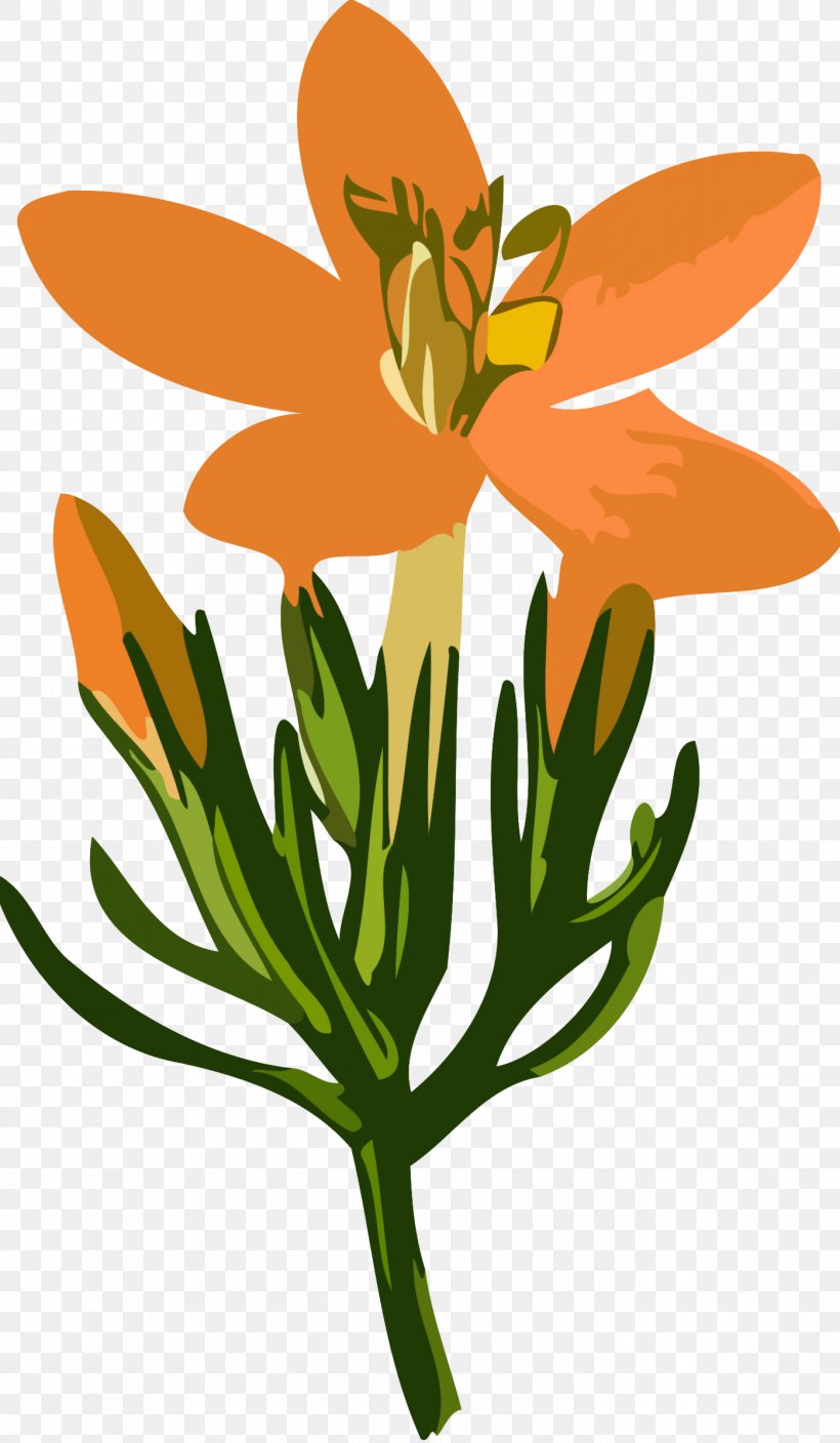 Clip Art, PNG, 1397x2400px, Medicinal Plants, Artwork, Cut Flowers, Flora, Floral Design Download Free