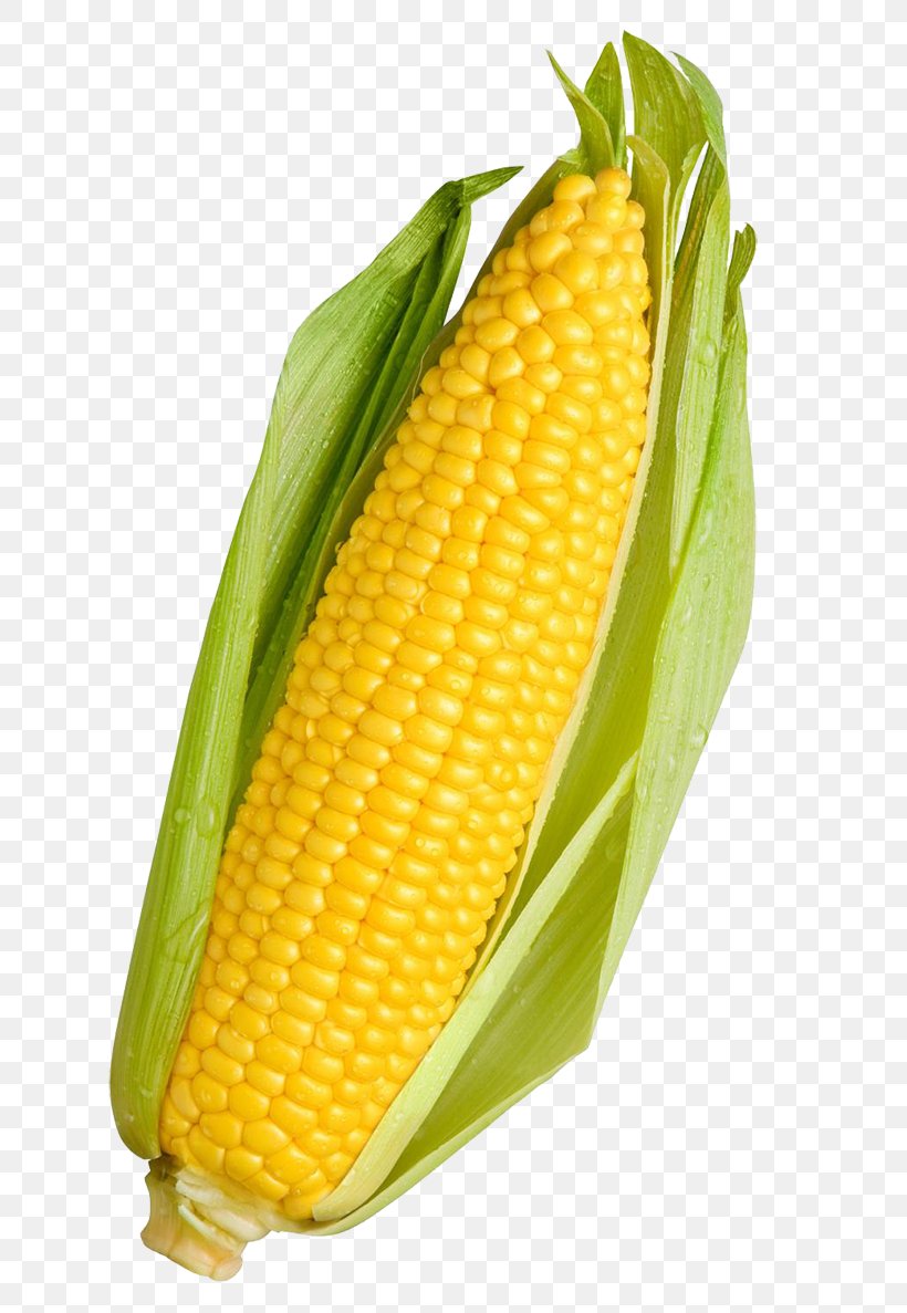 Corn On The Cob Maize Sweet Corn Vegetable Food, PNG, 787x1187px, Corn On The Cob, Baby Corn, Cereal, Commodity, Corn Kernels Download Free