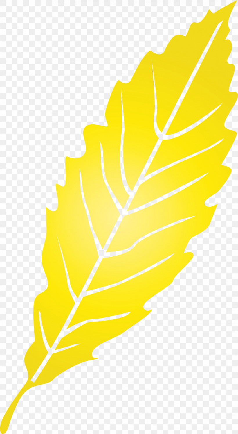 Feather, PNG, 1647x3000px, Leaf, Biology, Commodity, Feather, Paint Download Free