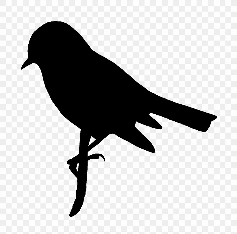 Bird Silhouette Clip Art, PNG, 1538x1516px, Bird, American Crow, Art, Beak, Black Download Free