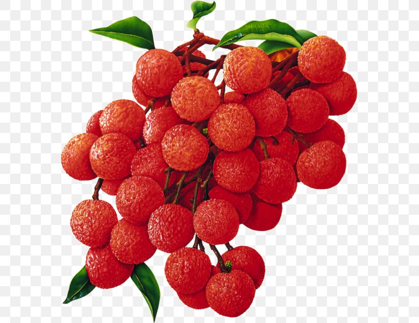 Ice Cream Tropical Fruit China 3 Lychee Food, PNG, 582x632px, Ice Cream, Accessory Fruit, Berry, Cherry, China 3 Lychee Download Free