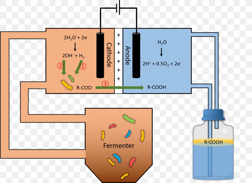 Microbial Fuel Cell Master's Degree Bioreactor University Pressure, PNG, 1296x943px, Microbial Fuel Cell, Biogas, Bioreactor, Diagram, Electrochemistry Download Free