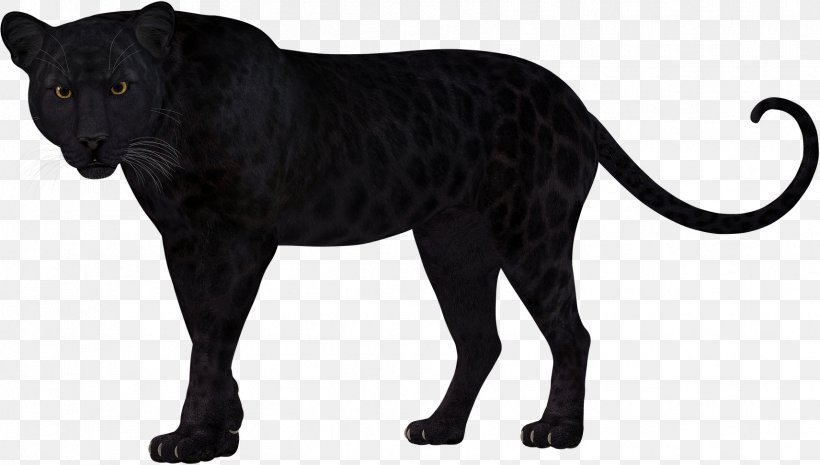 Panther Leopard Lion Felidae Cheetah, PNG, 1712x972px, Panther, Animal Figure, Big Cat, Big Cats, Black Download Free