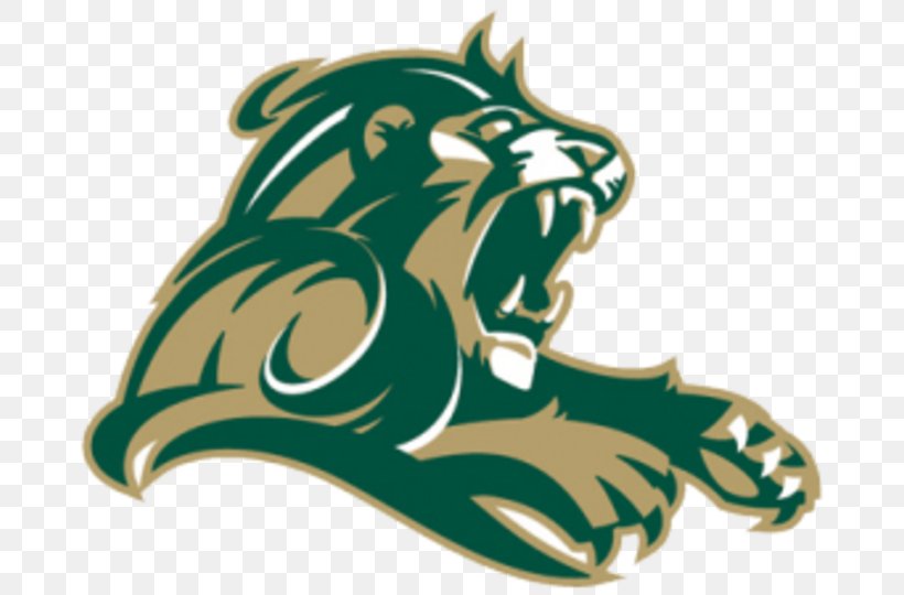 Point Loma Nazarene University Athletics Point Loma Nazarene Sea Lions Pacific West Conference NCAA Division II, PNG, 720x540px, Point Loma Nazarene University, Big Cats, California, California Sea Lion, Carnivoran Download Free