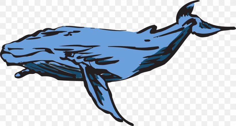 Blue Whale Clip Art, PNG, 1920x1025px, Blue Whale, Art, Artwork, Beak, Bird Download Free