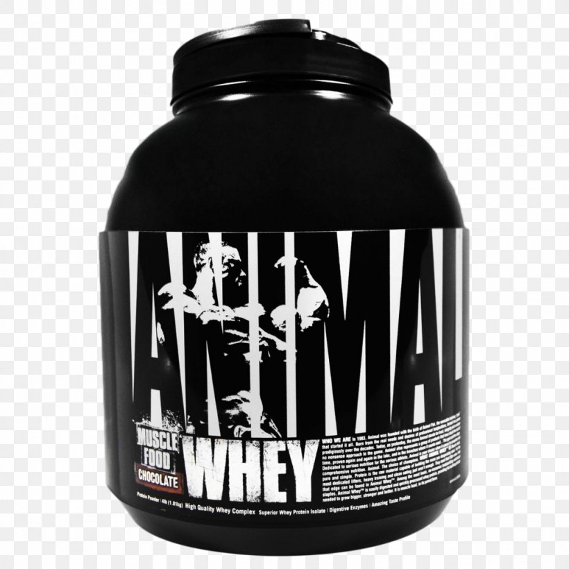 Dietary Supplement Whey Protein Isolate Nutrition, PNG, 1024x1024px, Dietary Supplement, Animal Product, Bodybuilding Supplement, Food, Gainer Download Free