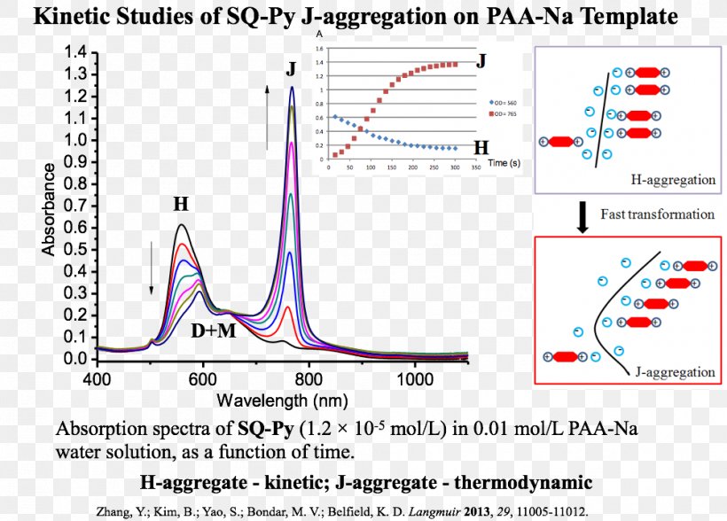 New Jersey Institute Of Technology Squaraine Dye J-aggregate Fluorescence Light, PNG, 996x715px, New Jersey Institute Of Technology, Absorption, Area, Biological Engineering, Biomedical Engineering Download Free