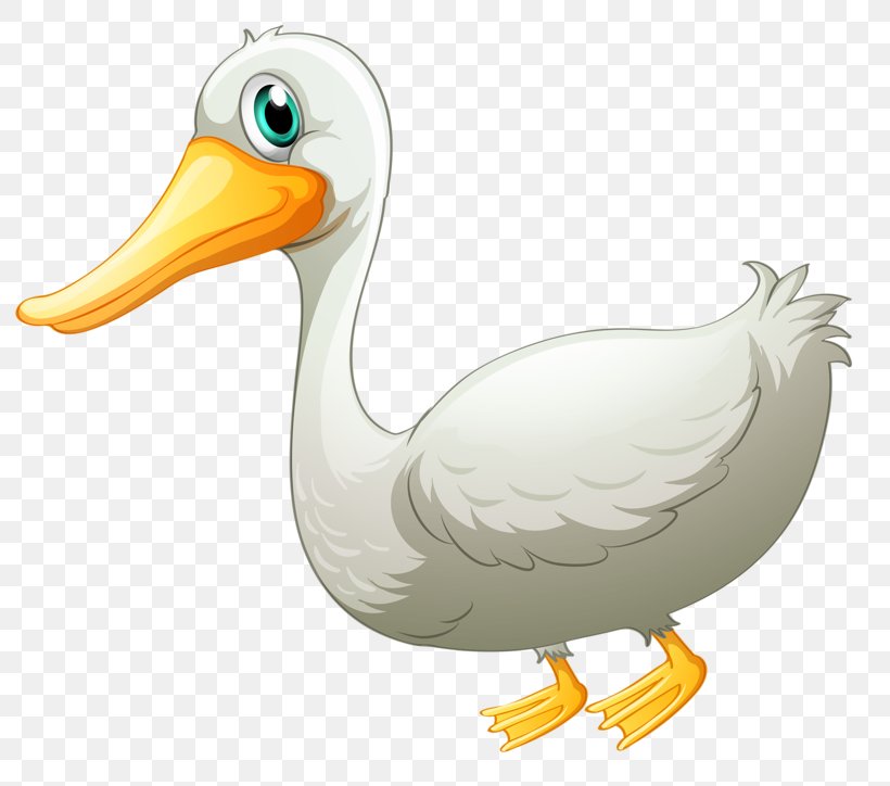 Duck Pato Branco Goose Drawing, PNG, 800x724px, Duck, Alexandre Pato, Animal, Beak, Bird Download Free