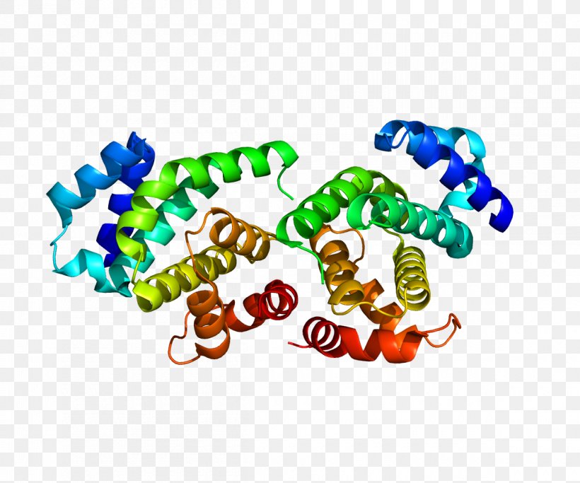 Eukaryotic Initiation Factor Protein Eukaryotic Translation Gene, PNG, 1200x1000px, Watercolor, Cartoon, Flower, Frame, Heart Download Free