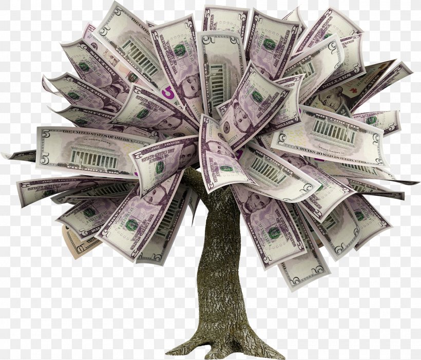 Guiana Chestnut Money Finance Investment Saving, PNG, 1920x1643px, Guiana Chestnut, Cash, Currency, Debt, Fiddleleaf Fig Download Free