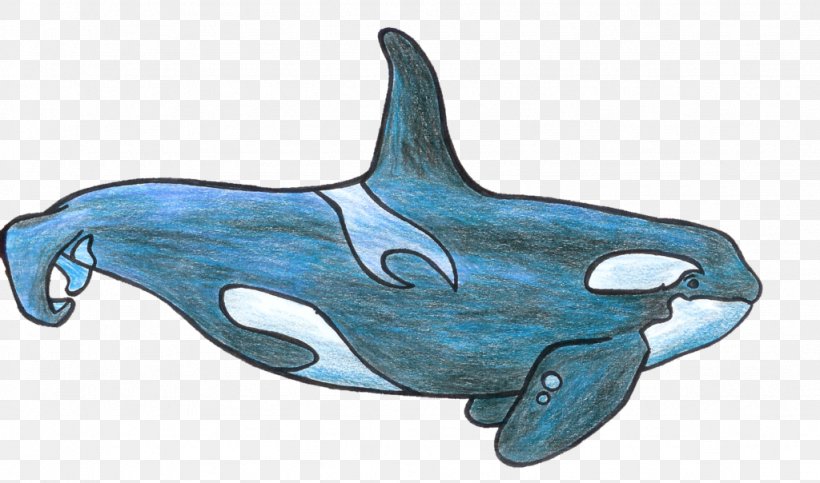 Killer Whale Common Bottlenose Dolphin Tucuxi Clip Art, PNG, 1024x604px, Killer Whale, Art, Cartoon, Common Bottlenose Dolphin, Dolphin Download Free