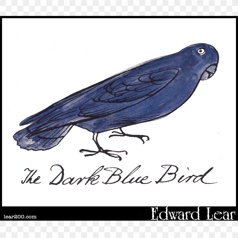Beak Cobalt Blue Feather, PNG, 2000x2000px, Beak, Bird, Blue, Cobalt, Cobalt Blue Download Free