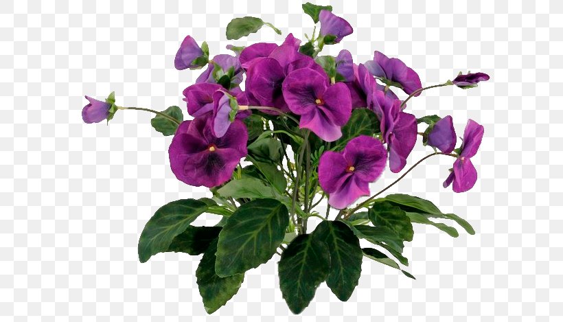Pansy Annual Plant Herbaceous Plant, PNG, 614x469px, Pansy, Annual Plant, Flower, Flowering Plant, Herbaceous Plant Download Free
