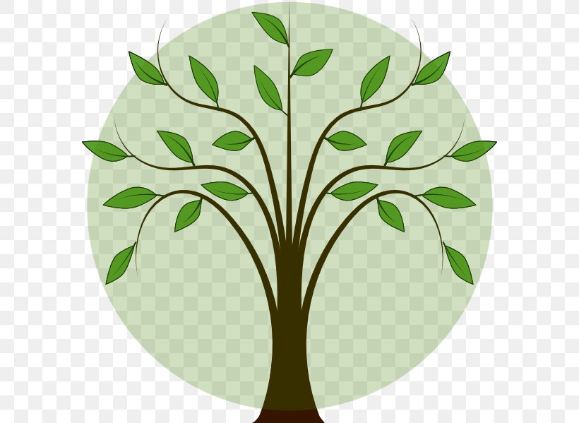 Tree Oak Clip Art, PNG, 588x599px, Tree, Branch, Diagram, Flora, Flower Download Free