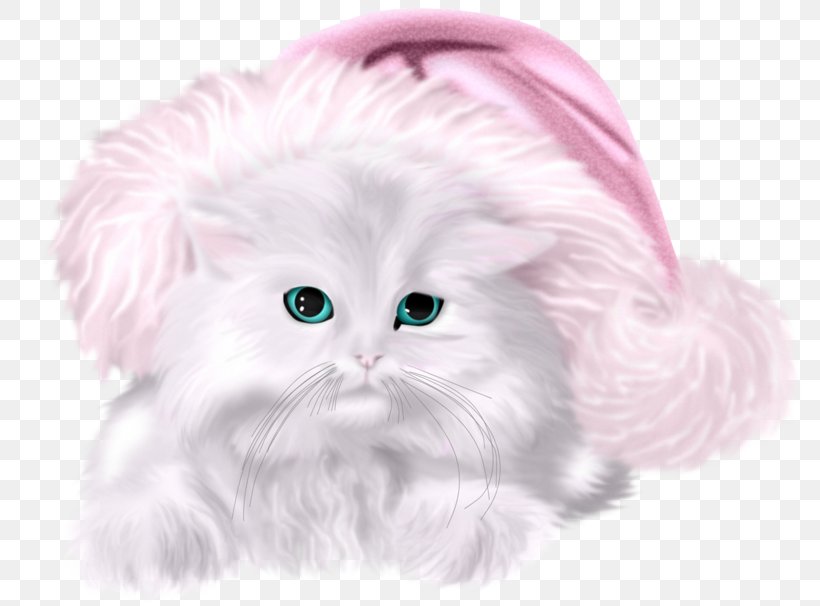 Kitten Whiskers Cat Christmas, PNG, 800x606px, Kitten, Animation, Carnivoran, Cat, Cat Like Mammal Download Free