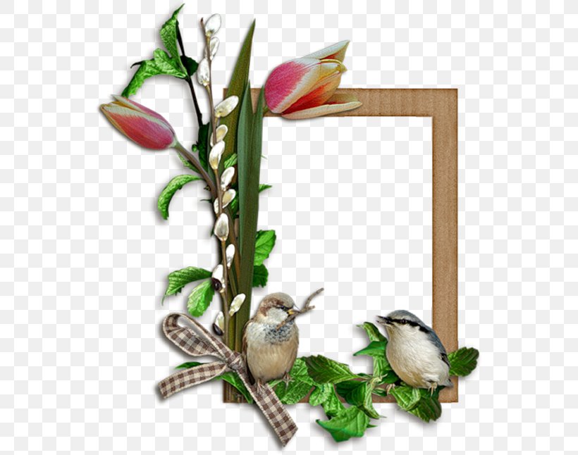 Picture Frames Image Vector Graphics Clip Art, PNG, 550x646px, Picture Frames, Bird, Branch, Christmas Day, Cut Flowers Download Free