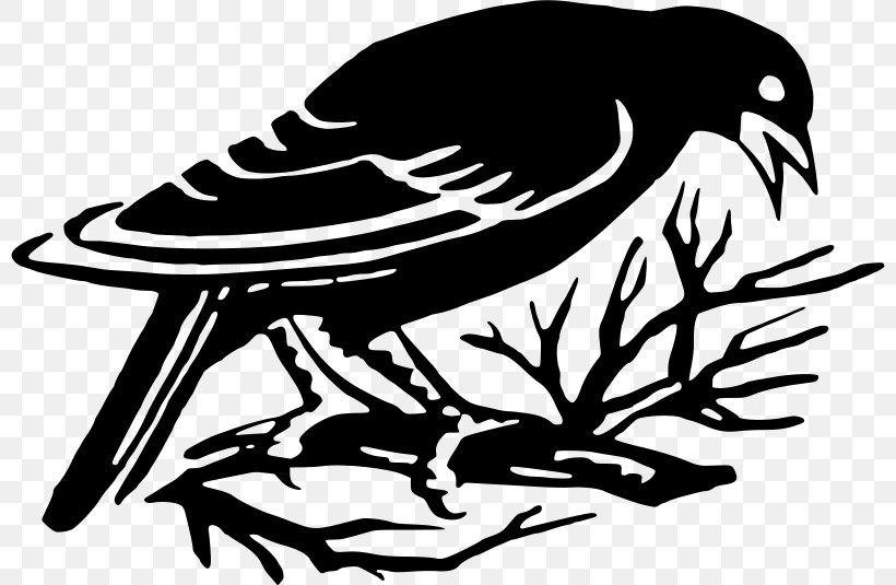 Bird Silhouette Drawing, PNG, 800x535px, Bird, Art, Artwork, Beak, Bird In The Tree Download Free